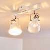 Safari Plafondlamp Wit, 2-lichts
