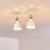 Safari Plafondlamp Wit, 2-lichts