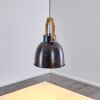 Svanfolk Hanger Staal geborsteld, 1-licht