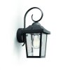 Philips Buzzard Buiten muurverlichting Zwart, 1-licht
