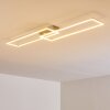 Ceva Plafondlamp LED Zilver, 2-lichts, Afstandsbediening