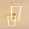 Ceva Plafondlamp LED Zilver, 2-lichts, Afstandsbediening