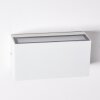 Duluth Buiten muurverlichting LED Wit, 1-licht
