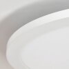 Brilliant Abie Plafondpaneel LED Wit, 1-licht, Afstandsbediening, Kleurwisselaar