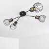 Bacau Plafondlamp Zwart, 4-lichts