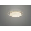 Reality Frodo Plafondlamp LED, 1-licht, Afstandsbediening