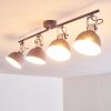 Dompierre Plafondlamp Grijs, Wit, 4-lichts