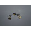 Trio Houston Plafondlamp Zwart, 2-lichts