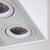 Baishan Plafondlamp Wit, 4-lichts