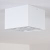 Baishan Plafondlamp Wit, 4-lichts