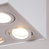 Baishan Plafondlamp Wit, 4-lichts