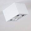 Baishan Plafondlamp Wit, 4-lichts