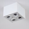 Baishan Plafondlamp Wit, 4-lichts
