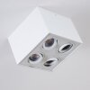 Baishan Plafondlamp Wit, 4-lichts