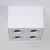 Baishan Plafondlamp Wit, 4-lichts