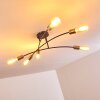 Duvin Plafondlamp Zwart, 6-lichts
