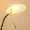Biot Uplighter LED Oud messing, 2-lichts