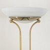Biot Uplighter LED Oud messing, 2-lichts