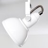 Tina Plafondlamp Wit, 3-lichts