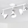 Tina Plafondlamp Wit, 3-lichts