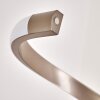 Pitasch Staande lamp LED Nikkel mat, 1-licht