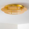 Springdale Plafondlamp LED Goud, 1-licht