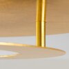 Springdale Plafondlamp LED Goud, 1-licht