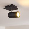 Zuoz Plafondlamp Zwart, 1-licht