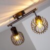 Cancún Plafond straler Bruin, 2-lichts