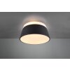 Trio BARONESS Plafondlamp Antraciet, 3-lichts