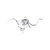 Paul Neuhaus Lina Plafondlamp LED Chroom, 3-lichts
