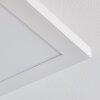 Barasat Plafondlamp LED Wit, 1-licht