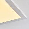 Barasat Plafondlamp LED Wit, 1-licht