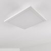 Barasat Plafondlamp LED Wit, 1-licht