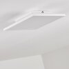 Barasat Plafondlamp LED Wit, 1-licht