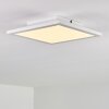 Barasat Plafondlamp LED Wit, 1-licht