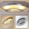 Springdale Plafondlamp LED Zilver, 11-lichts
