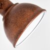 Tina Muurlamp Roest, 1-licht