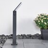 Heraklion Padverlichting LED Antraciet, 1-licht