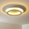 Springdale Plafondlamp LED Zilver, 4-lichts