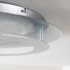 Springdale Plafondlamp LED Zilver, 4-lichts