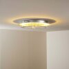 Springdale Plafondlamp LED Zilver, 4-lichts