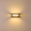 Michele Buiten muurverlichting LED Zwart, 1-licht