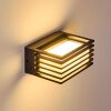 Michele Buiten muurverlichting LED Zwart, 1-licht