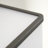 Buckau Buiten muurverlichting LED Antraciet, Wit, 1-licht