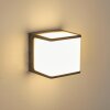 Buckau Buiten muurverlichting LED Antraciet, Wit, 1-licht