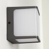 Buckau Buiten muurverlichting LED Antraciet, Wit, 1-licht