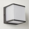 Buckau Buiten muurverlichting LED Antraciet, Wit, 1-licht