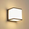 Buckau Buiten muurverlichting LED Antraciet, Wit, 1-licht