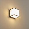 Buckau Buiten muurverlichting LED Antraciet, Wit, 1-licht